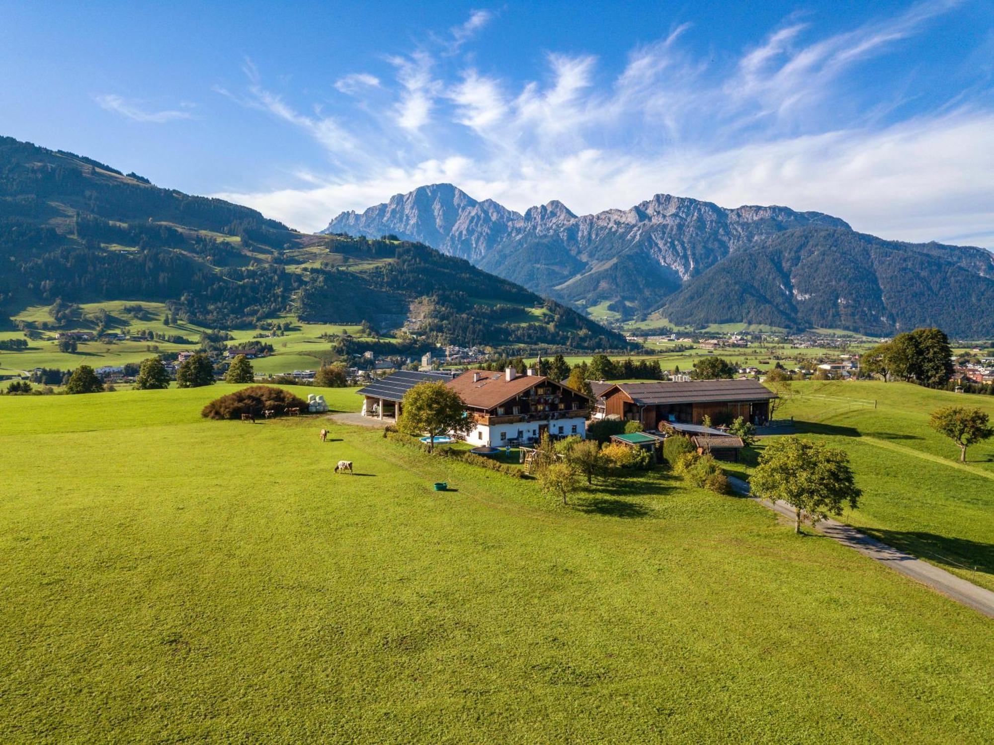 Haslinghof Apartment Saalfelden Exterior photo